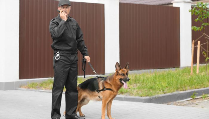 Penyedia Anjing Security K9 untuk Patroli Keamanan